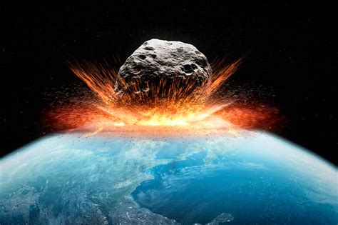 Life Came Back ‘quickly After Dinosaur Killing Asteroid