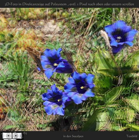 Die besten marken fürs zuhause. 3D direkt für Polfiltermonitore - TESTBILD Foto & Bild ...