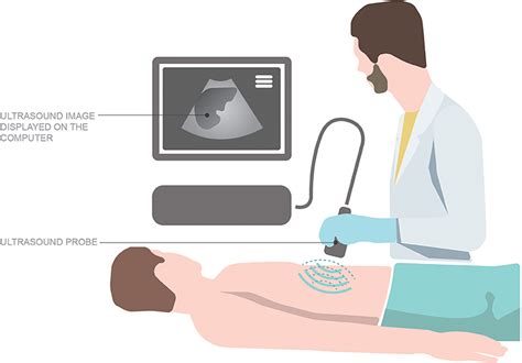 Hocus Pocus—using The Magic Of Ultrasound To Look Inside The Body