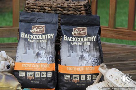 The merrick puppy food reviews: Merrick Backcountry Dog Food Review #Wild4Backcountry - 2 ...