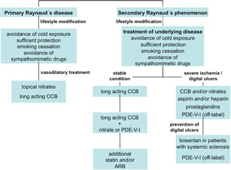 Treatment Algorithm For Raynauds Phenomenon Download Scientific Diagram