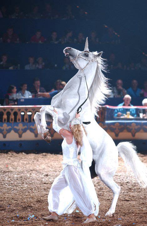 Arabian Nights Unicorn Act Photo By Steve Priest In Fl Arabian