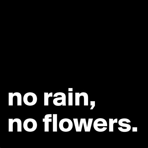 No Rain No Flowers Post By Dreamworld On Boldomatic