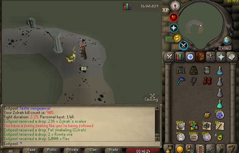 Started Zulrah For This Finally Got My First Pet On 905 Kc R2007scape