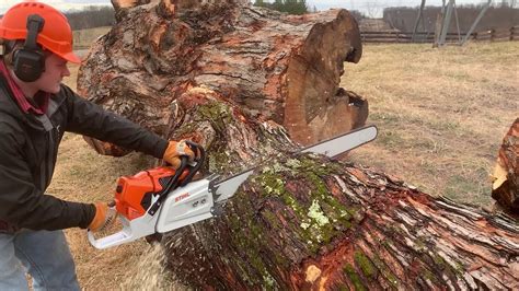 Most Powerful Production Chainsaw In The World Stihl Ms 881 We Bought
