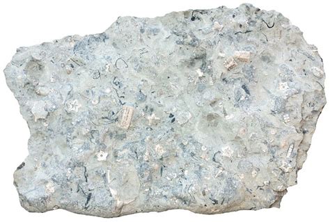 Limestone Sedimentary Rocks
