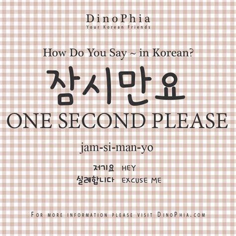 잠시만요 One Second Please Korean How Do You Say In Korean Dinophia