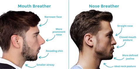 Mouth Breather Vs Nose Breathing Diagram By Dryft Sleep Dryft Sleep
