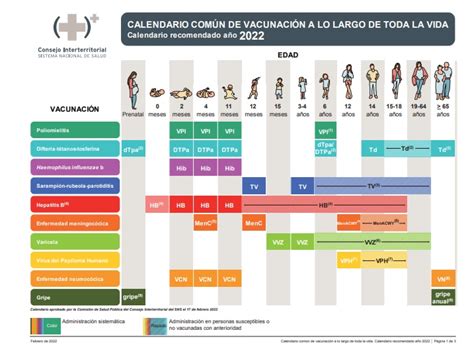 Calendarios De Vacunaci N En Espa A Comit Asesor De Vacunas De La Aep