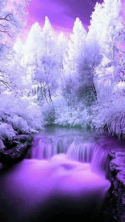 720p Free Download Purple Beauty Forest Landscape Natural Hd
