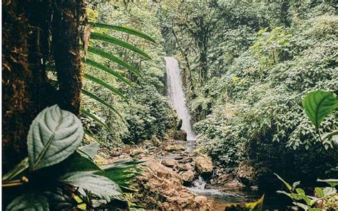 La Paz Waterfall Gardens And Peace Lodge Costa Rica Vibes