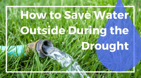 How To Save Water Outside During The Drought