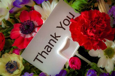 Thank You Card In Flowers Stock Image Image Of T 39329273