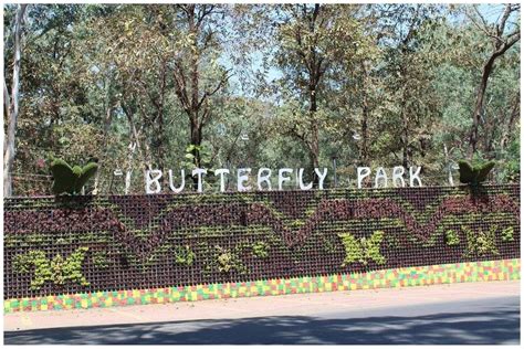 This Gorgeous Park Is A Paradise Of Butterflies Address Khanvel