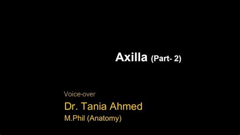 The Axilla Part 2 Explained In Bangla By Dr Tania Ahmed Youtube