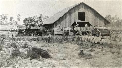Potato Harvest Continues At Buckles Farm In Early 20th Century