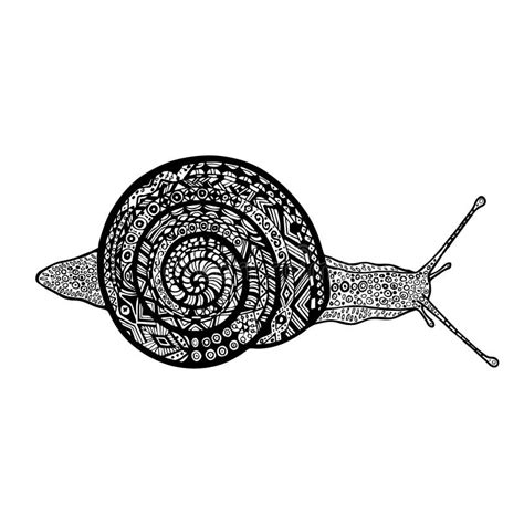 Hand Drawn Snail Vector Snail In Doodle Stock Vector Illustration Of