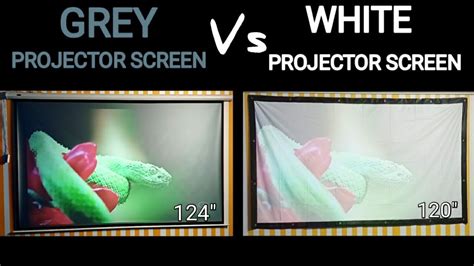 Grey Projector Screen Vs White Projector Screen Detailed Comparison