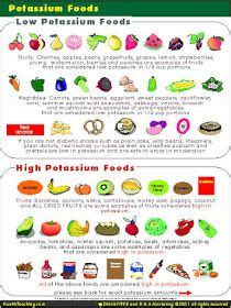 Dogs that are in severe renal failure (and to some extent those with diabetes too) feel exhausted, lethargic, nauseous, depressed and sleepy. Potassium, Vital for Cell Development | Dialysis diet ...