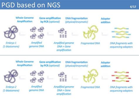 Chromo xy was released on 6 nov, 2020. Application of NGS technologies to Preimplantation Genetic Diagnosis