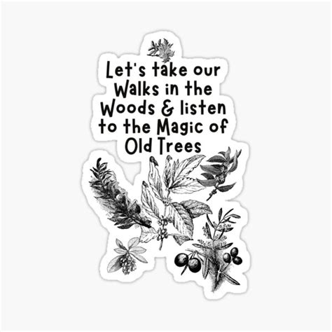 Let S Take A Walk In The Woods And Listen To The Magic Of Old Trees Design Sticker For Sale By