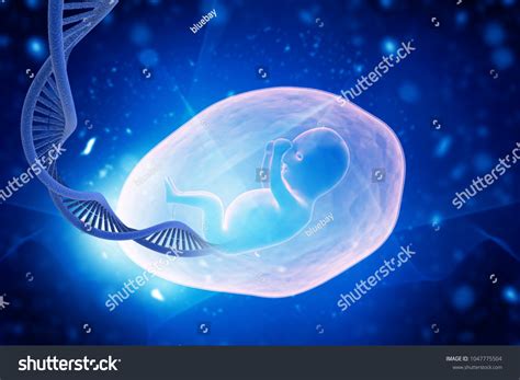 Fetus Dna On Abstract Background 3d Stock Illustration 1047775504