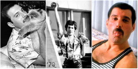 25 Photos Of Freddie Mercury That Will Make You Love And Miss Him More
