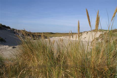 Group Accommodation Texel Groepennl