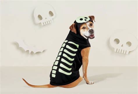 Best Dog Halloween Costumes At Target 2021 Popsugar Uk Pets