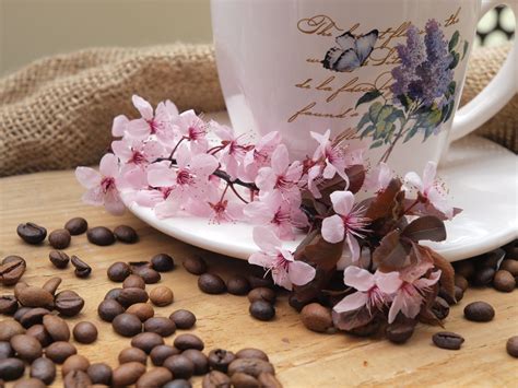 Free Images Flower Petal Food Spring Produce Pink Dessert