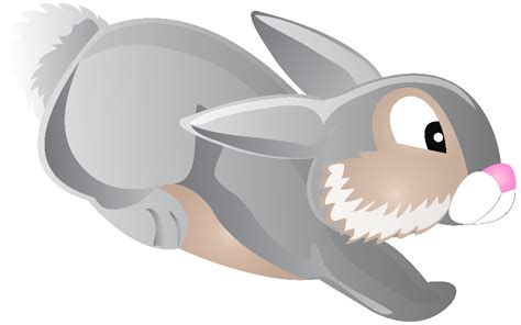 Download High Quality Bunny Clipart Jumping Transparent Png Images