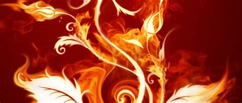Since then, fflwf shares have increased by 156.0% and is now trading at $0.89. Fire Flower Wallpaper - WallpaperSafari