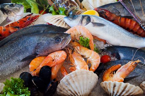 Fresh Seafood Free Stock Photo - Public Domain Pictures