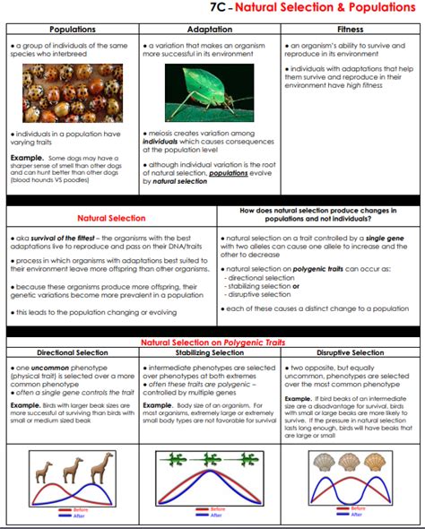 Please select a topic on the left sidebar. Evolution - LPHS BIOLOGY STAAR REVIEW