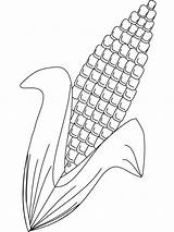 Corn Coloring Printable Barley Indian Milho Para Desenho Stalk Vegetables Pintar Molde Drawing Preschool Cob Recommended Sheets Getdrawings 47kb 807px sketch template