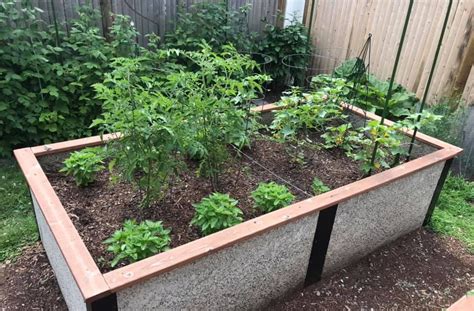 Raised Bed Garden Tomato Spacing 39 Personalized Wedding Ideas We Love