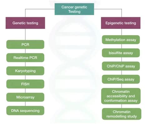 A Brief Introduction To Cancer Genetics