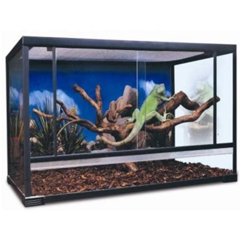 See more ideas about reptile enclosure, diy reptile, reptile room. DIY Reptile Enclosure Guide | Reptile Care | All Pet Care