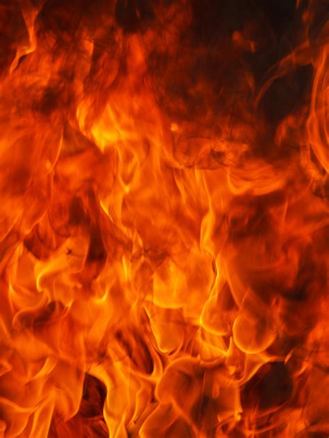 1,000+ vectors, stock photos & psd files. Free Images : fire, flame, heat, burn, hot, bonfire, warm ...