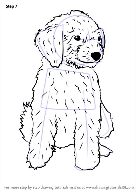How To Draw A Mini Goldendoodle Dogs Step By Step