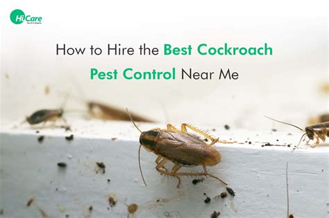 How To Hire The Best Cockroach Pest Control Near Me Hicare