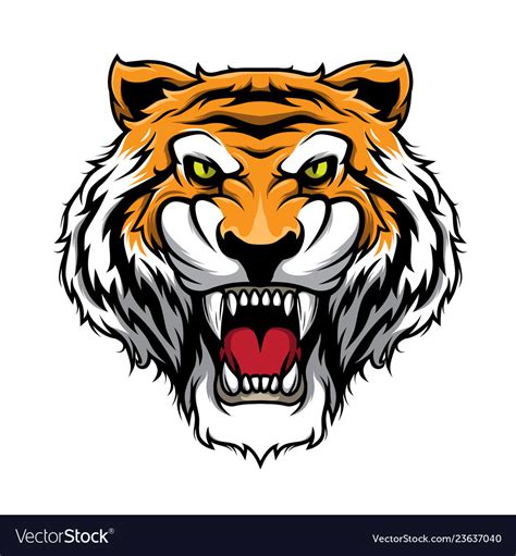 Roaring Tiger Tiger Head Mascot Royalty Free Vector Image