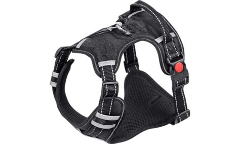 Harnais Anti Traction Pour Chien Chienmedaille Fr