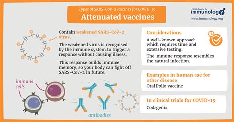Types Of Vaccines For Covid 19 British Society For Immunology