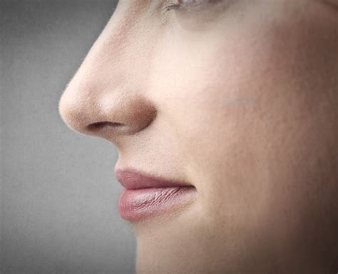 Easy Tips To Help You Make Your Nose Slimmer Herzindagi