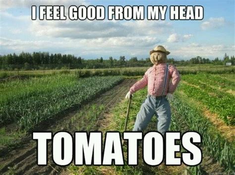 26 Best Images About Funny Farm Moments On Pinterest Ontario
