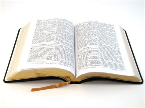 Nombres bíblicos para negocios ejemplos y significado Nombres para Todo