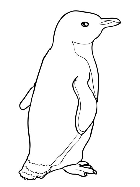 Printable Penguin Coloring Pages Printable Templates