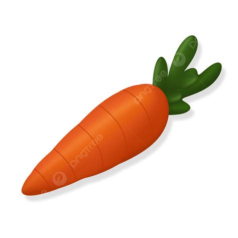 Wortel Vegetarian Vector Png Vector Psd And Clipart With Transparent