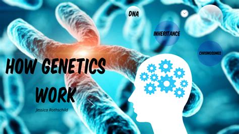 Genetics Infographic By Jessica Rothschild